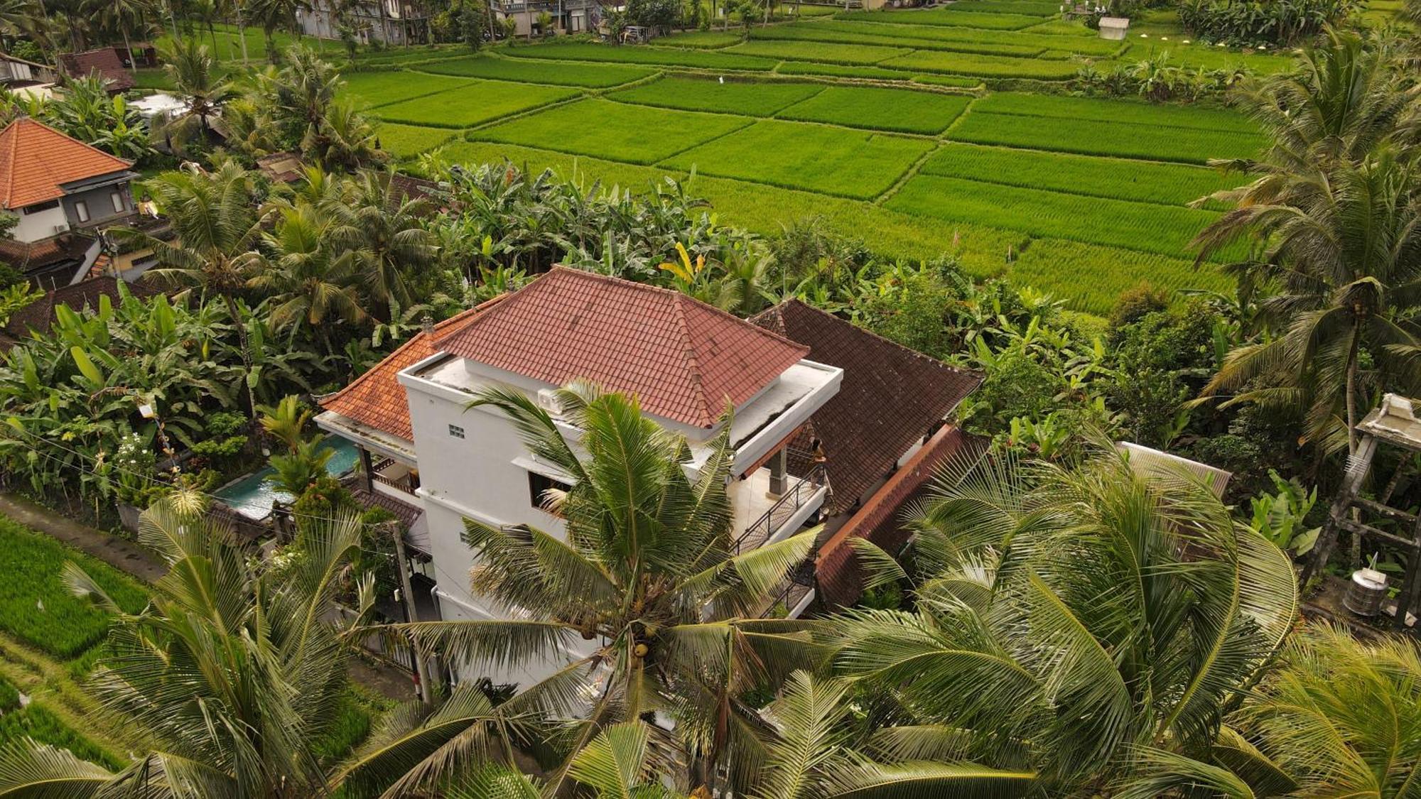Nirwa 1 Ubud Guesthouse Exteriör bild