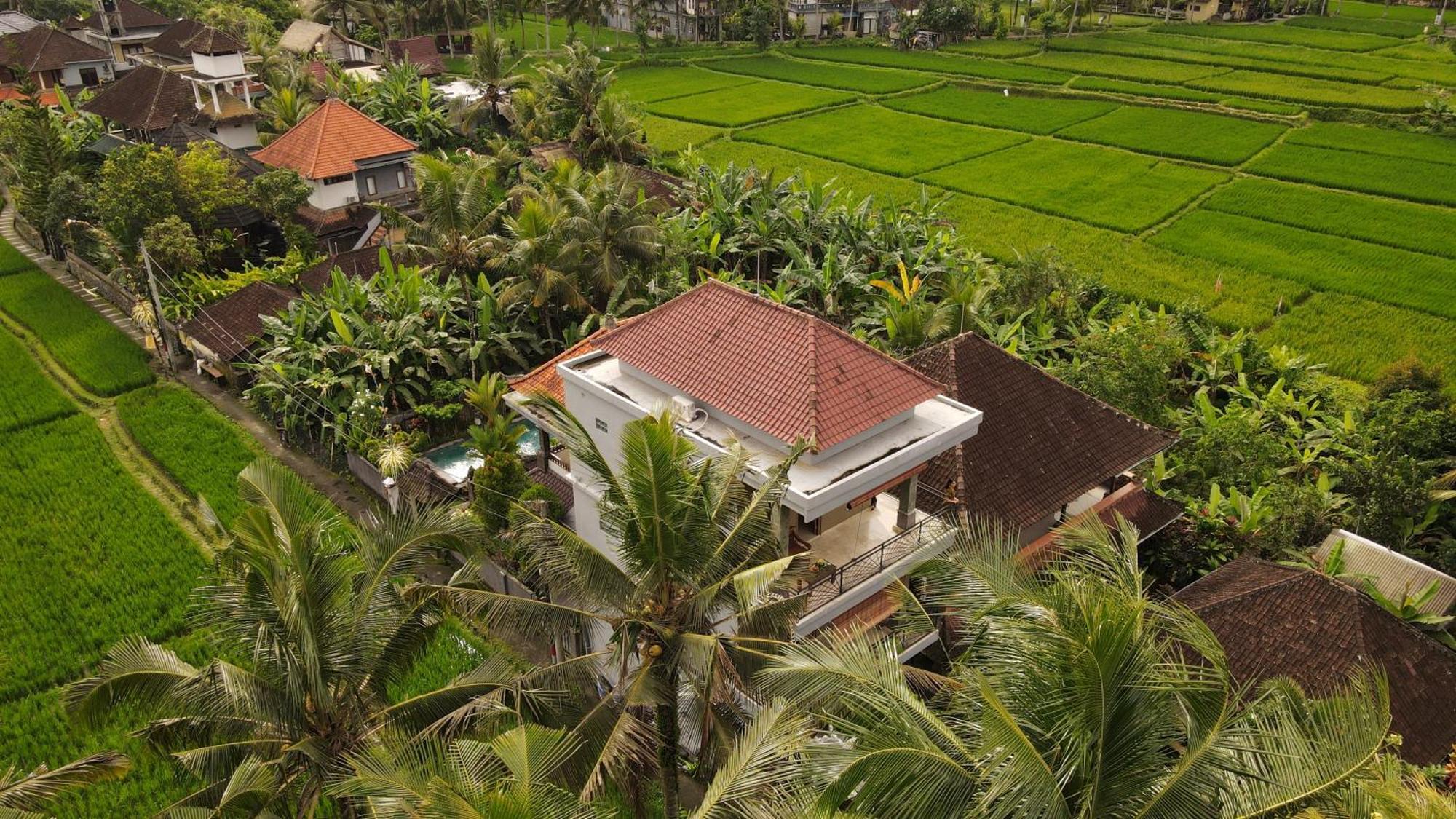 Nirwa 1 Ubud Guesthouse Exteriör bild